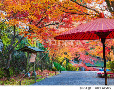 秋の京都 三千院 参道 秋の京都 三千院 参道 80438565