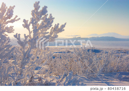Frost in Anadyr and neighborhood. 80438716