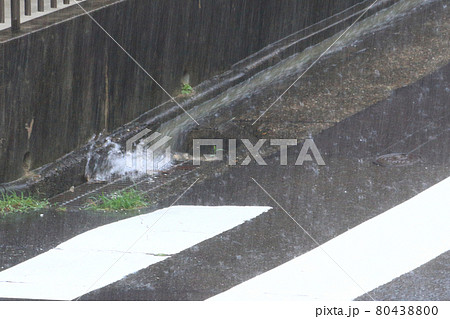 激しい雨 激しい雨 80438800