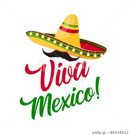 Viva Mexico sombrero and mustaches, Mexican fiesta 80438812