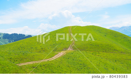 Nalati grassland with the blue sky. . 80439383