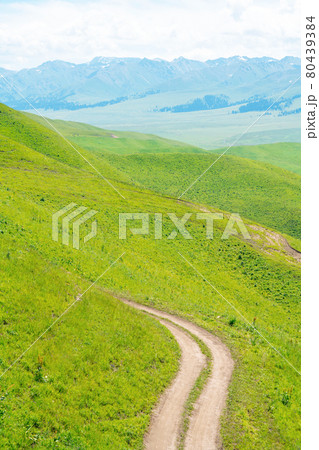 Nalati grassland with the blue sky. . 80439384