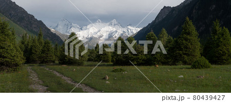 Snowy mountains and trees in a cloudy day. Khan Tengri Mountain In Xinjiang, China. Snowy mountains and trees in a cloudy day. Khan Tengri Mountain In Xinjiang, China. 80439427