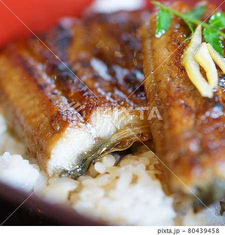 手頃なミニうな重 手頃なミニうな重 80439458