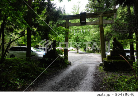 埼玉県秩父市　武甲山ハイキング　生川登山口の鳥居と駐車場 80439646