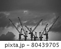 クレーン郡のシルエットモノクロ 80439705