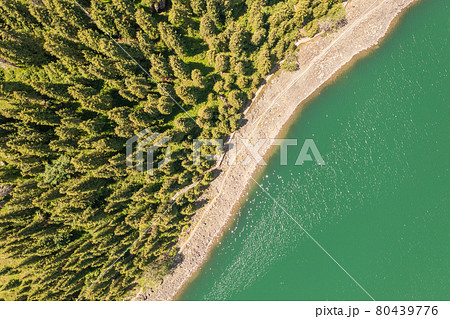River and trees with cloudless day. River and trees with cloudless day. 80439776