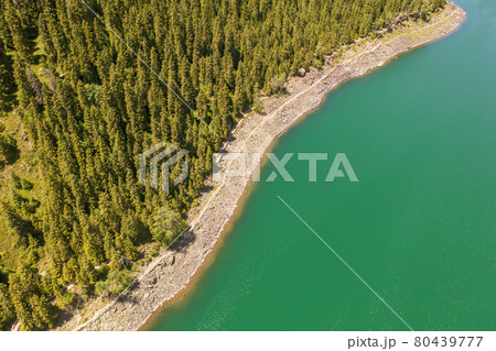 River and trees with cloudless day. 80439777