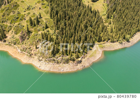 River and trees with cloudless day. 80439780