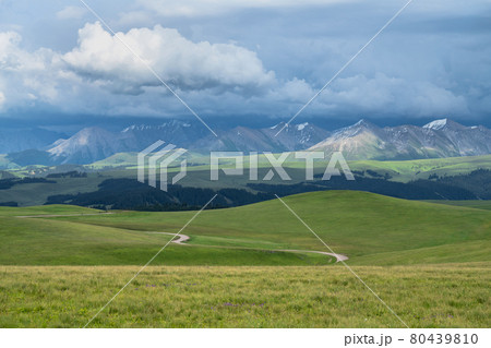 Grassland and mountains in a cloudy day. Photo in Kalajun grassland in Xinjiang, China. 80439810