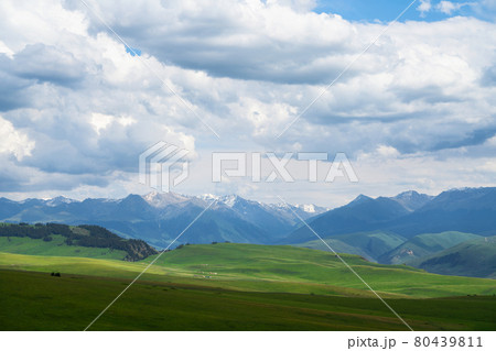 Grassland and mountains in a cloudy day. Photo in Kalajun grassland in Xinjiang, China. Grassland and mountains in a cloudy day. Photo in Kalajun grassland in Xinjiang, China. 80439811