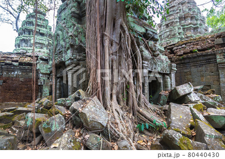 Ta Prohm temple in Angkor Wat 80440430