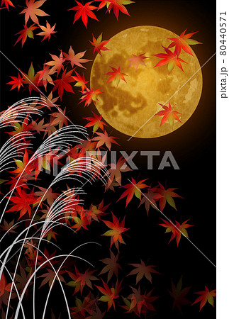 十五夜　月見　紅葉　背景 80440571