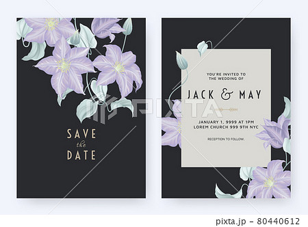Floral wedding invitation card template design, purple clematis flowers and leaves on dark blue 80440612