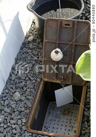 水道メーターに作られたハチの巣 水道メーターに作られたハチの巣 80440880