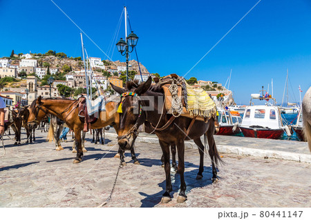 Hydra island in Greece Hydra island in Greece 80441147