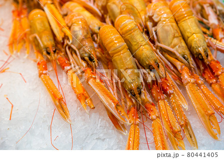 Crayfish on ice Crayfish on ice 80441405