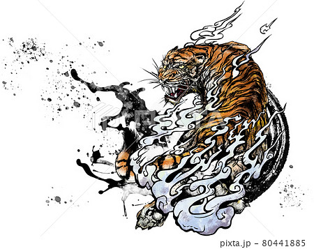虎の絵のイラスト素材