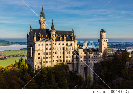 Neuschwanstein castle 80443437