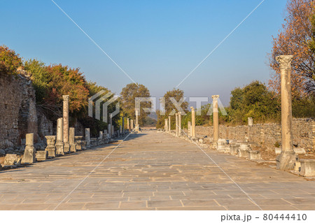 Ancient city Ephesus, Turkey 80444410