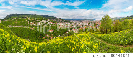 Panoramic view of Sarajevo 80444871