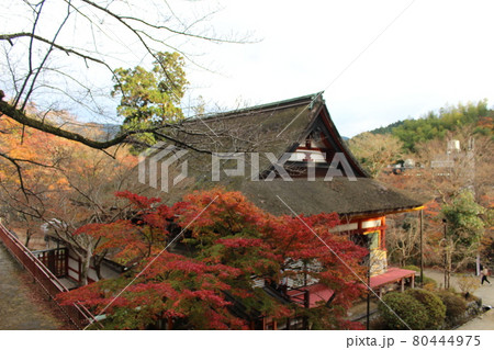 奈良　談山神社　秋の紅葉　【奈良県】 80444975