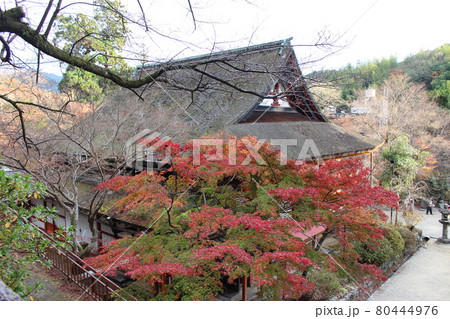 奈良　談山神社　秋の紅葉　【奈良県】 80444976