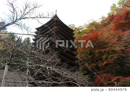 奈良　談山神社　秋の紅葉　【奈良県】 80444979