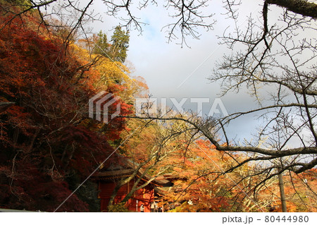 奈良　談山神社　秋の紅葉　【奈良県】 80444980