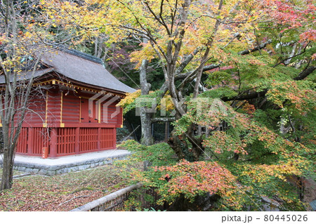 奈良　談山神社　紅葉の秋　史跡　【奈良県】 80445026