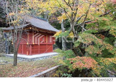 奈良　談山神社　紅葉の秋　史跡　【奈良県】 80445027