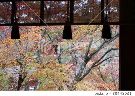 奈良　談山神社　紅葉の秋　史跡　【奈良県】 80445031