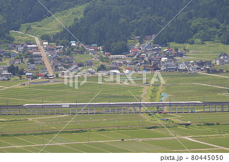 上越新幹線E2系と魚沼の水田 80445050