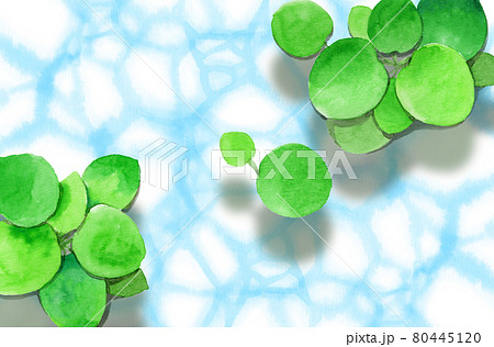 アナログ水彩揺れる水面と浮草アマゾンフロッグピット アナログ水彩揺れる水面と浮草アマゾンフロッグピット 80445120