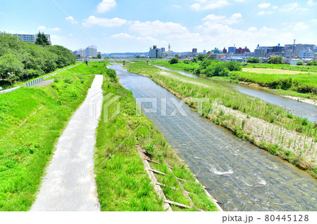 浅川大橋／浅川より下流方面より望む(東京都八王子市)【2021.7】 80445128