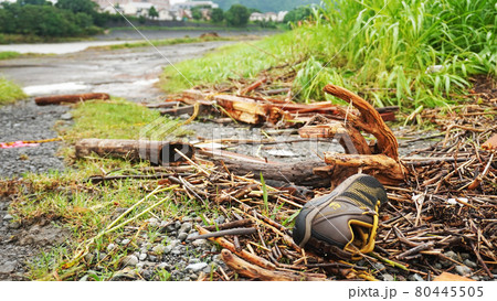 豪雨による黄瀬川公園の被害状況＜13＞（濁流に流されたシューズ） 80445505