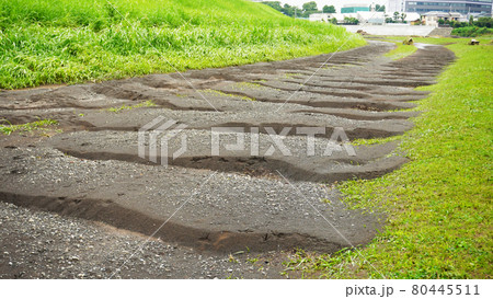 豪雨による黄瀬川公園の被害状況<08>(公園内に堆積された大量の土砂) 豪雨による黄瀬川公園の被害状況<08>(公園内に堆積された大量の土砂) 80445511