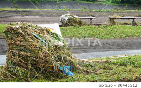豪雨による黄瀬川公園の被害状況<07>(公園案内看板とベンチに堆積する流木) 豪雨による黄瀬川公園の被害状況<07>(公園案内看板とベンチに堆積する流木) 80445512
