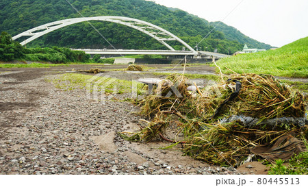 豪雨による黄瀬川公園の被害状況<06>(香貫大橋とベンチに堆積する流木) 豪雨による黄瀬川公園の被害状況<06>(香貫大橋とベンチに堆積する流木) 80445513