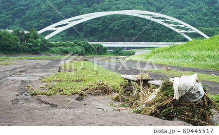 豪雨による黄瀬川公園の被害状況<02>(香貫大橋とベンチに堆積する流木) 豪雨による黄瀬川公園の被害状況<02>(香貫大橋とベンチに堆積する流木) 80445517