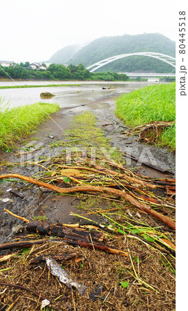 豪雨による黄瀬川公園の被害状況＜01＞（流木が堆積する河川敷） 80445518