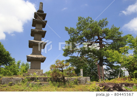 塔之山にて（新潟県南魚沼市） 80445567