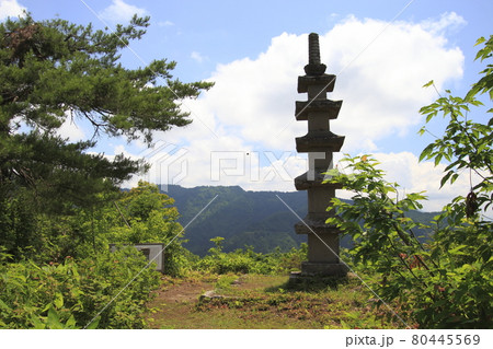 塔之山にて（新潟県南魚沼市） 80445569