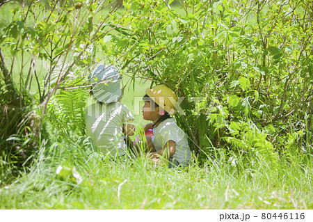 かくれんぼする子どもたち かくれんぼする子どもたち 80446116
