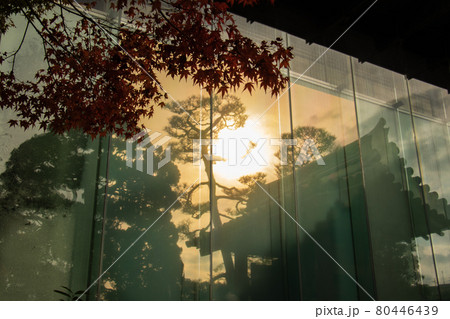 紅葉　壁面ガラスに映る京都の秋 80446439