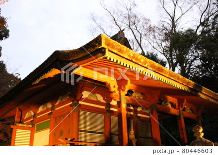 談山神社　奈良　紅葉　【奈良県】 80446603