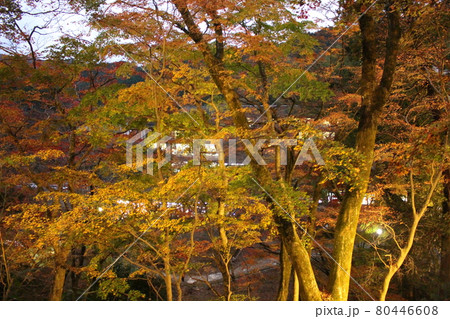 談山神社 奈良 紅葉 【奈良県】 談山神社 奈良 紅葉 【奈良県】 80446608