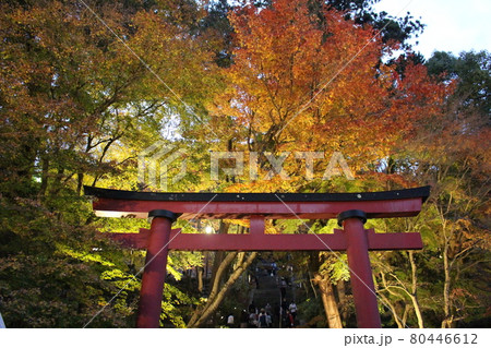 談山神社 奈良 紅葉 【奈良県】 談山神社 奈良 紅葉 【奈良県】 80446612