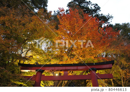 談山神社 奈良 紅葉 【奈良県】 談山神社 奈良 紅葉 【奈良県】 80446613