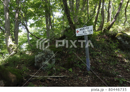 坊谷山：浦佐毘沙門堂嗽鉢の切出跡 80446735